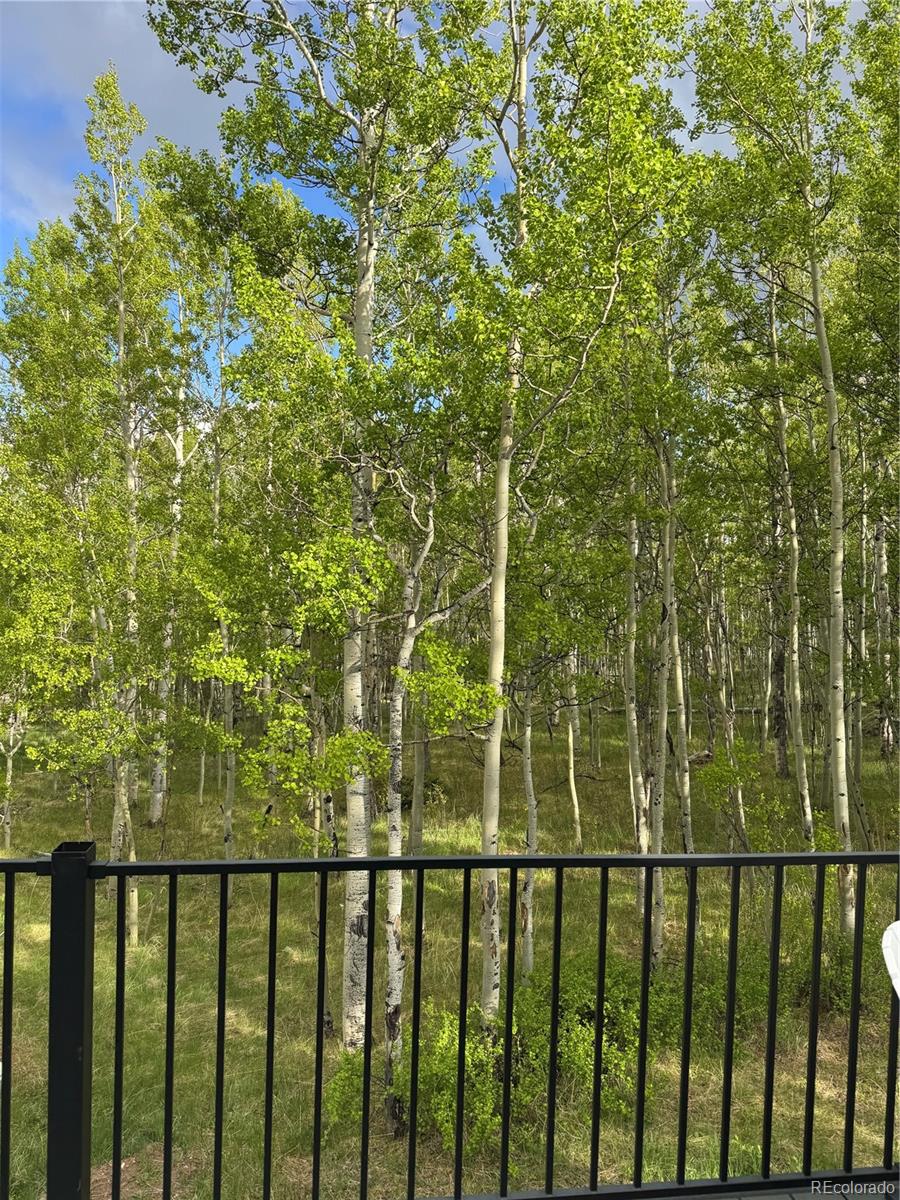 MLS Image #43 for 47  lumberjack road,fairplay, Colorado