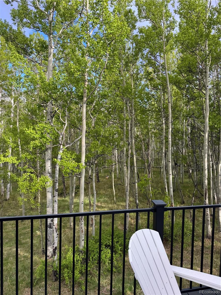 MLS Image #45 for 47  lumberjack road,fairplay, Colorado