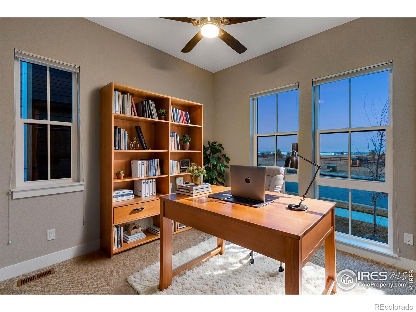 MLS Image #23 for 1852  vista valley drive,windsor, Colorado