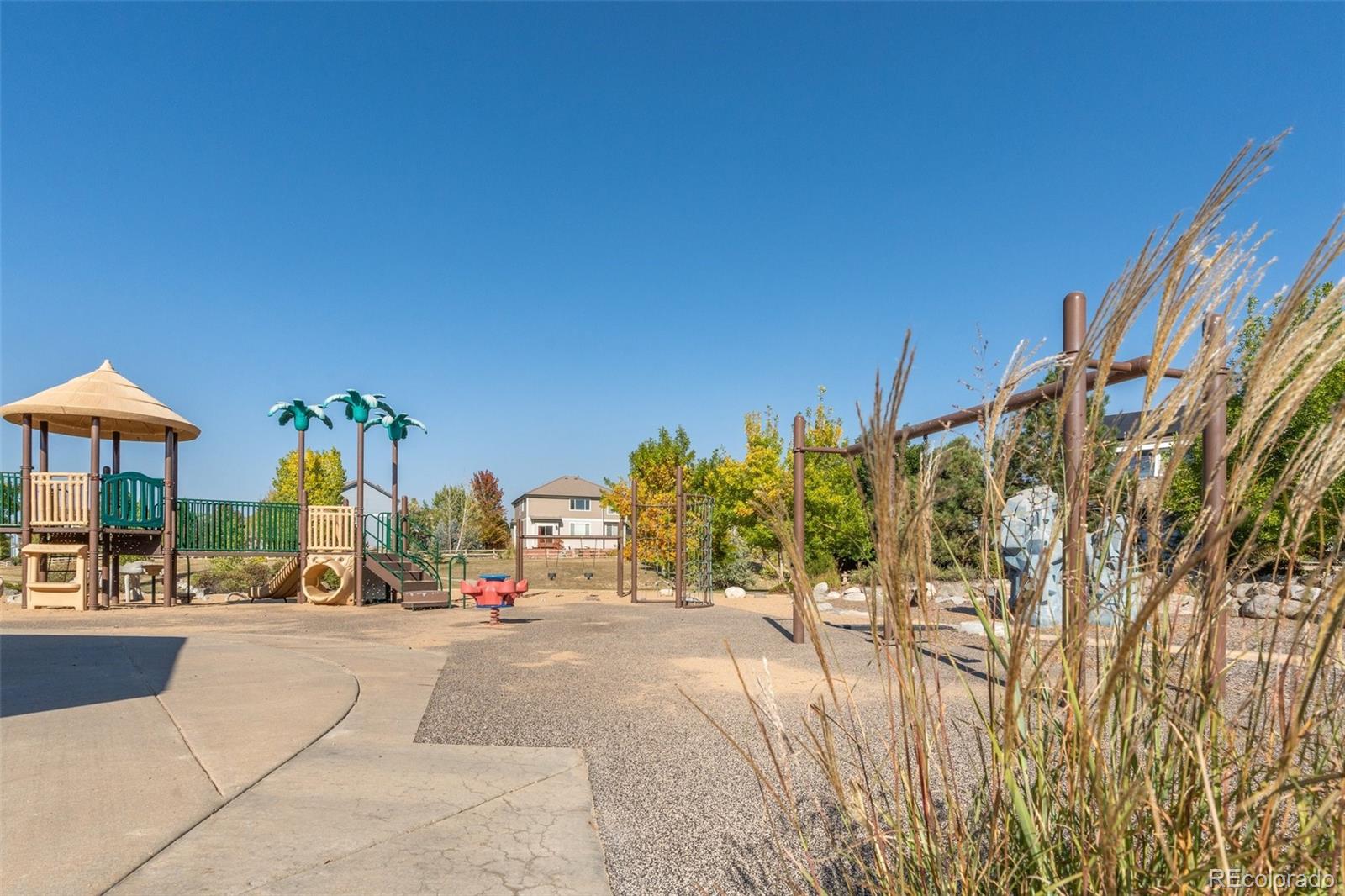 MLS Image #37 for 1540  meachum way,erie, Colorado