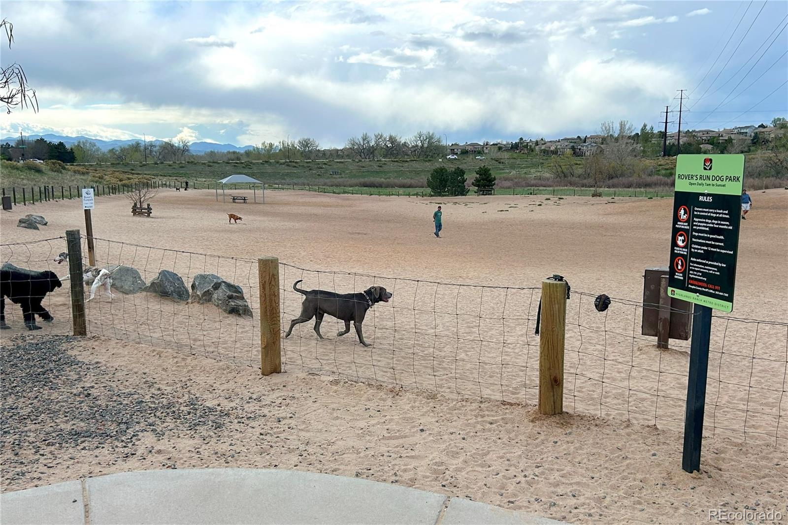MLS Image #43 for 2587  foothills canyon court,highlands ranch, Colorado