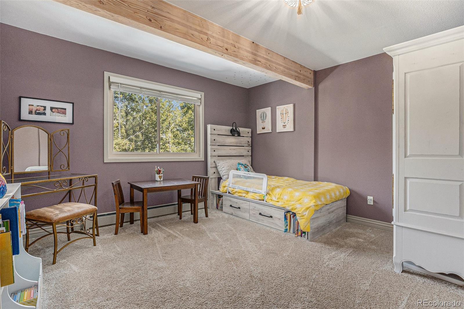 MLS Image #16 for 846  circle k ranch road,evergreen, Colorado