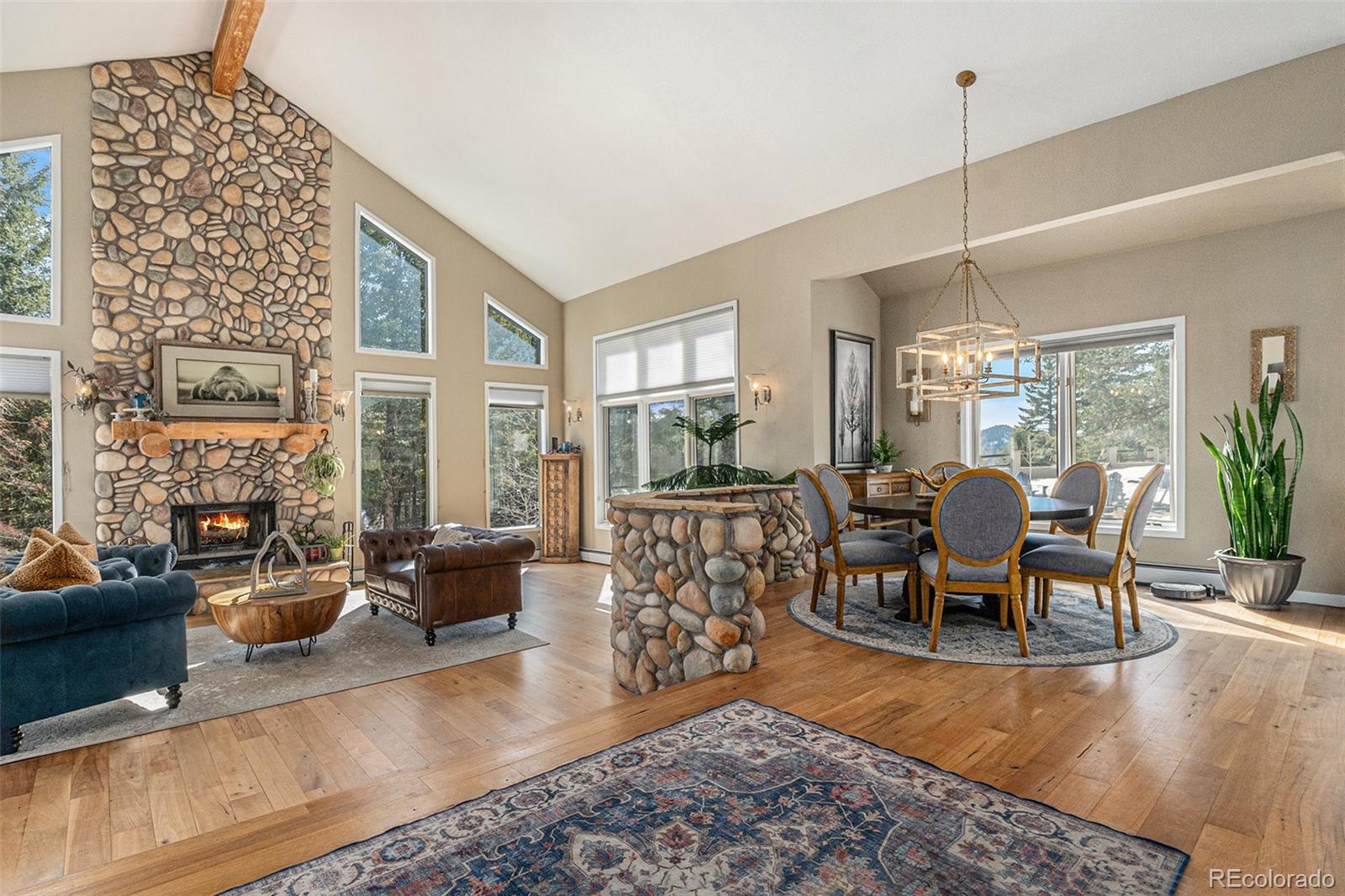 MLS Image #6 for 846  circle k ranch road,evergreen, Colorado