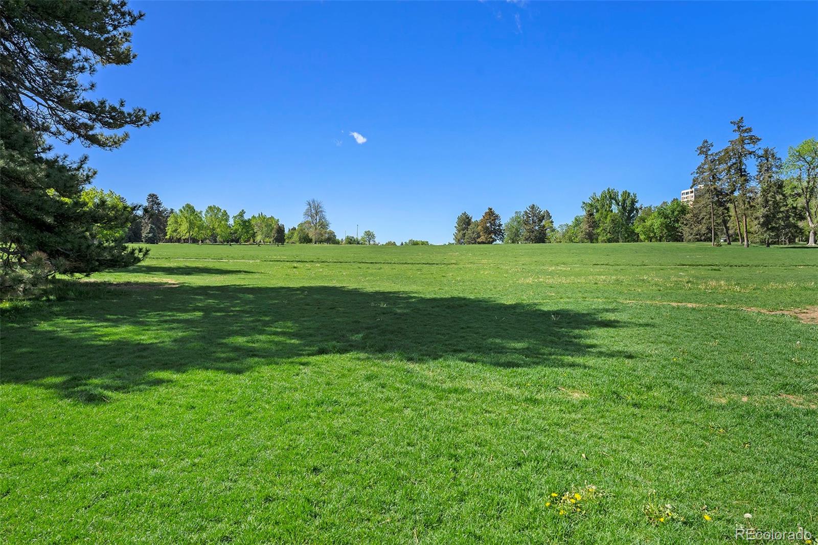 MLS Image #18 for 1144 n ogden street,denver, Colorado