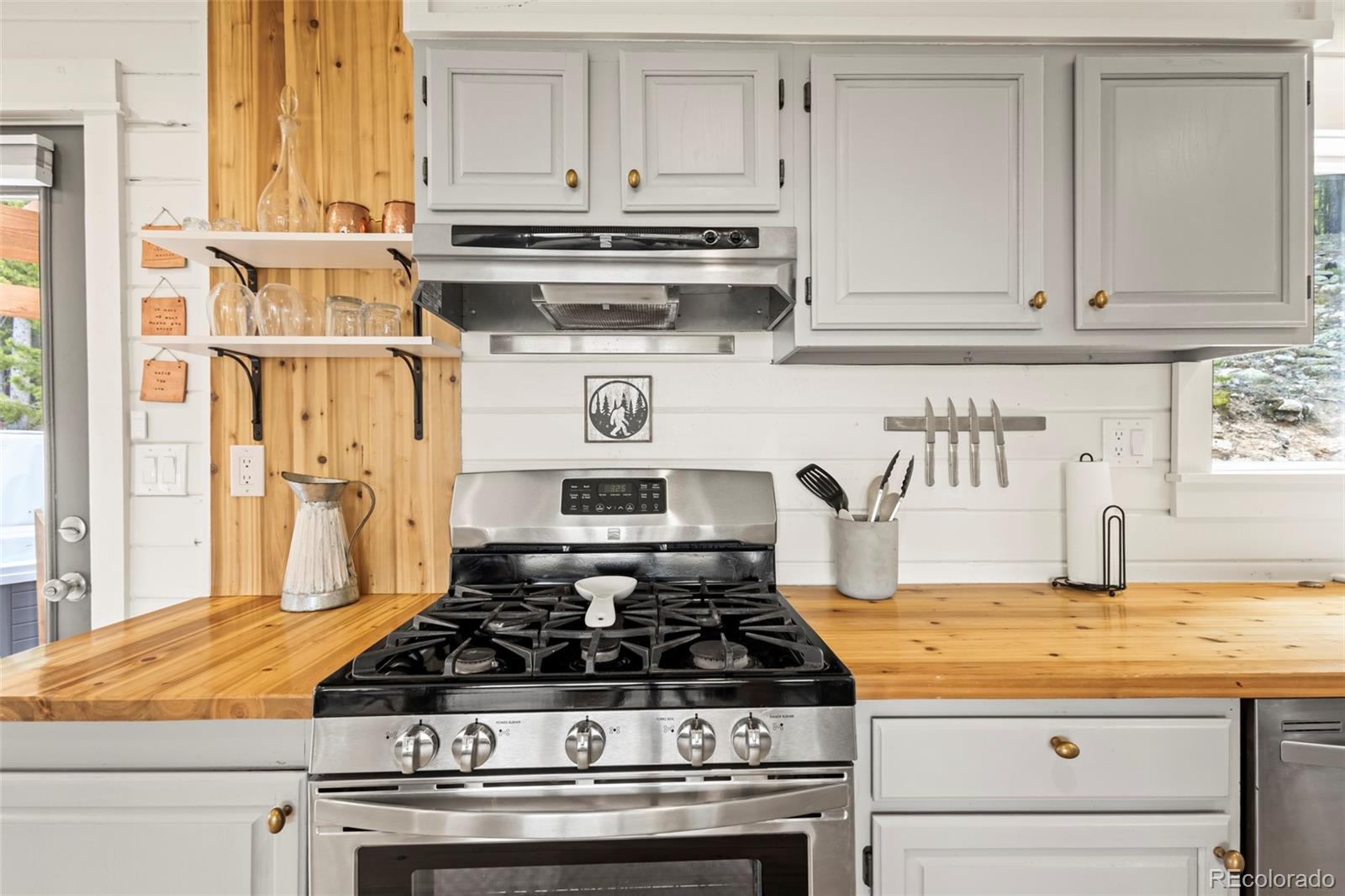 MLS Image #12 for 352  apache road,evergreen, Colorado