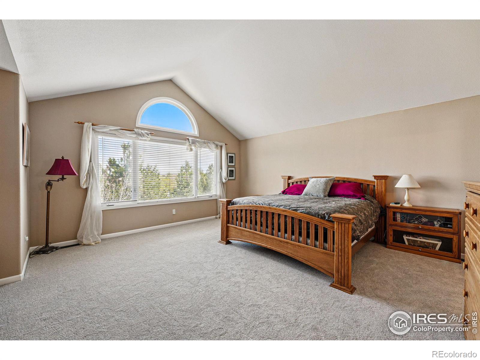 MLS Image #20 for 10305  charissglen circle,highlands ranch, Colorado