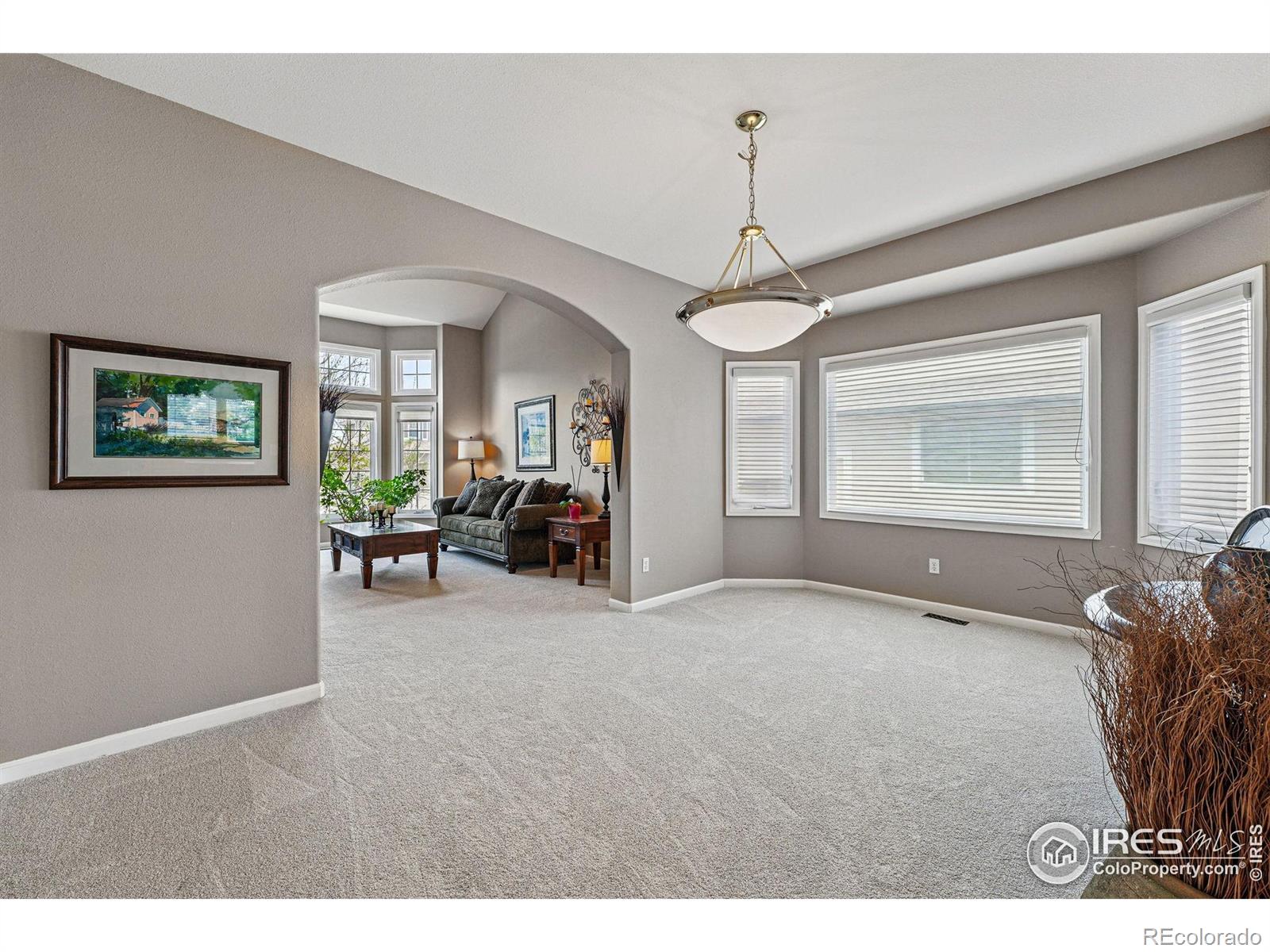 MLS Image #8 for 10305  charissglen circle,highlands ranch, Colorado