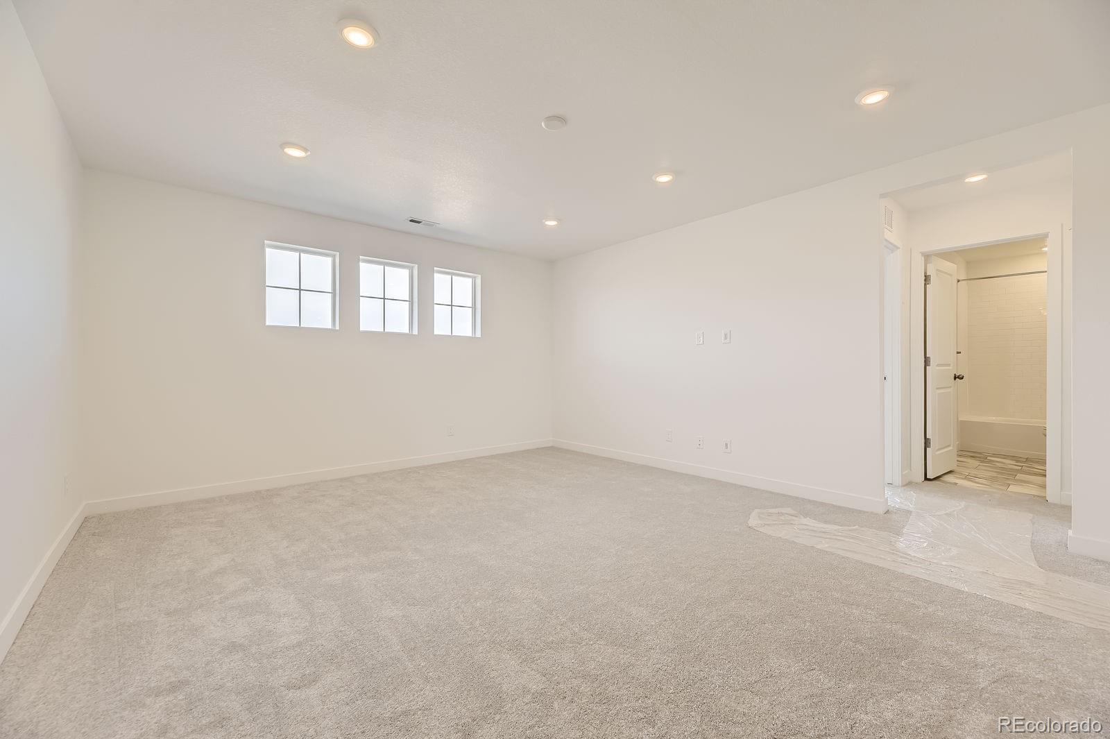 MLS Image #12 for 10727  snowdon street,parker, Colorado