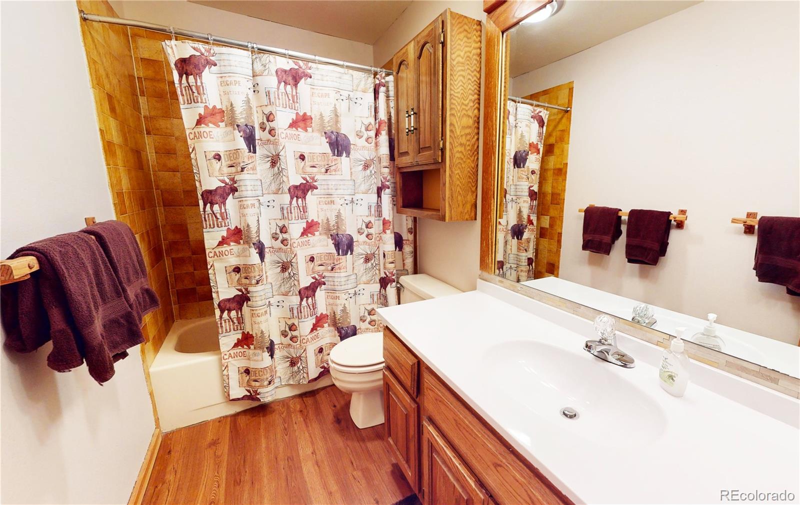 MLS Image #20 for 91200  ryan gulch road,silverthorne, Colorado