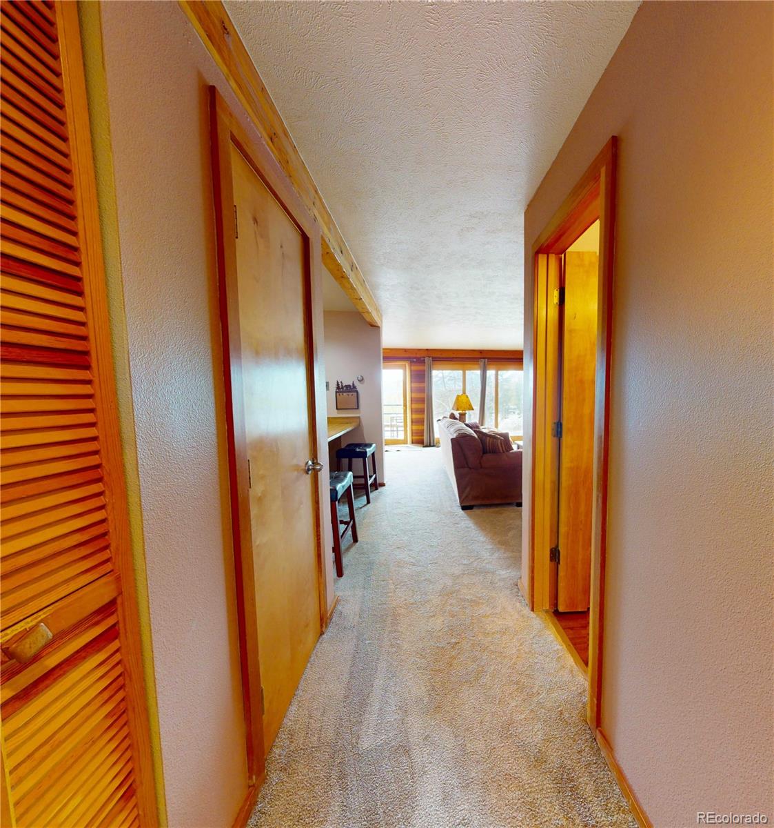 MLS Image #22 for 91200  ryan gulch road,silverthorne, Colorado