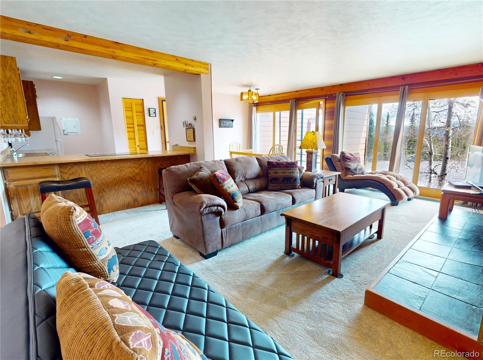 MLS Image #4 for 91200  ryan gulch road,silverthorne, Colorado