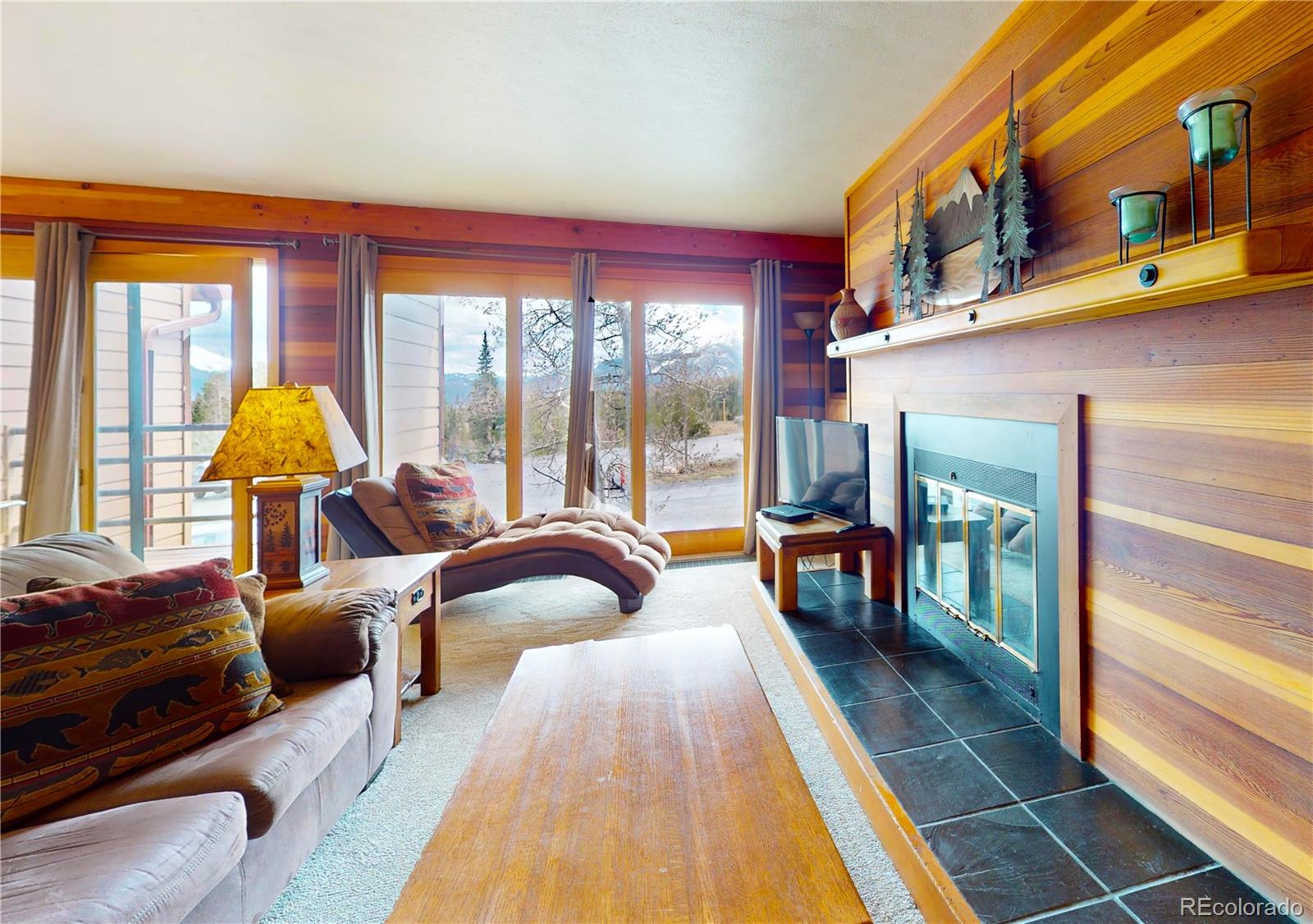 MLS Image #5 for 91200  ryan gulch road,silverthorne, Colorado