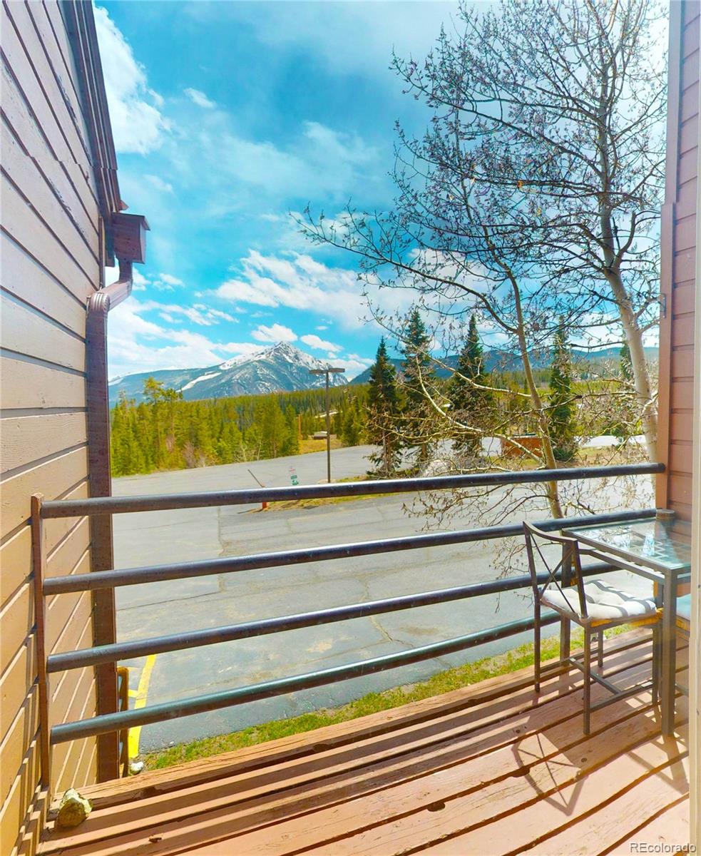 MLS Image #8 for 91200  ryan gulch road,silverthorne, Colorado