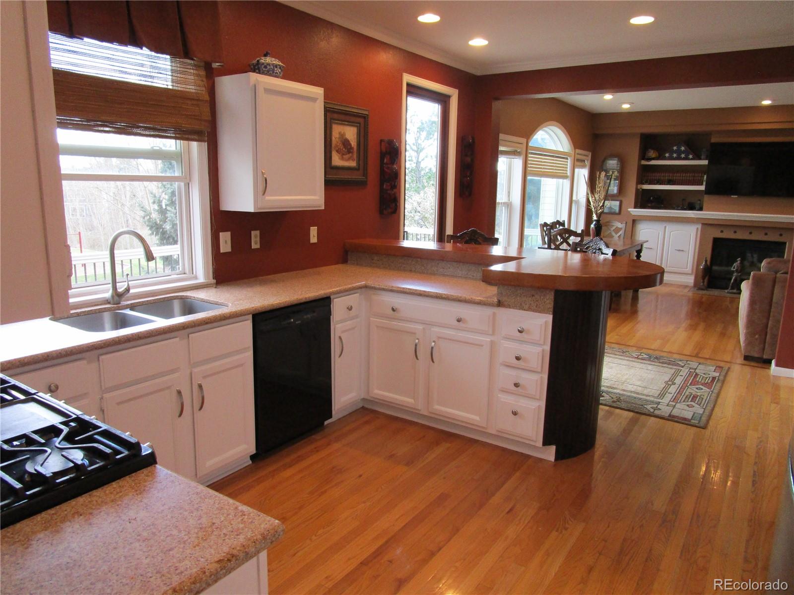 MLS Image #10 for 10522  stoneflower drive,parker, Colorado