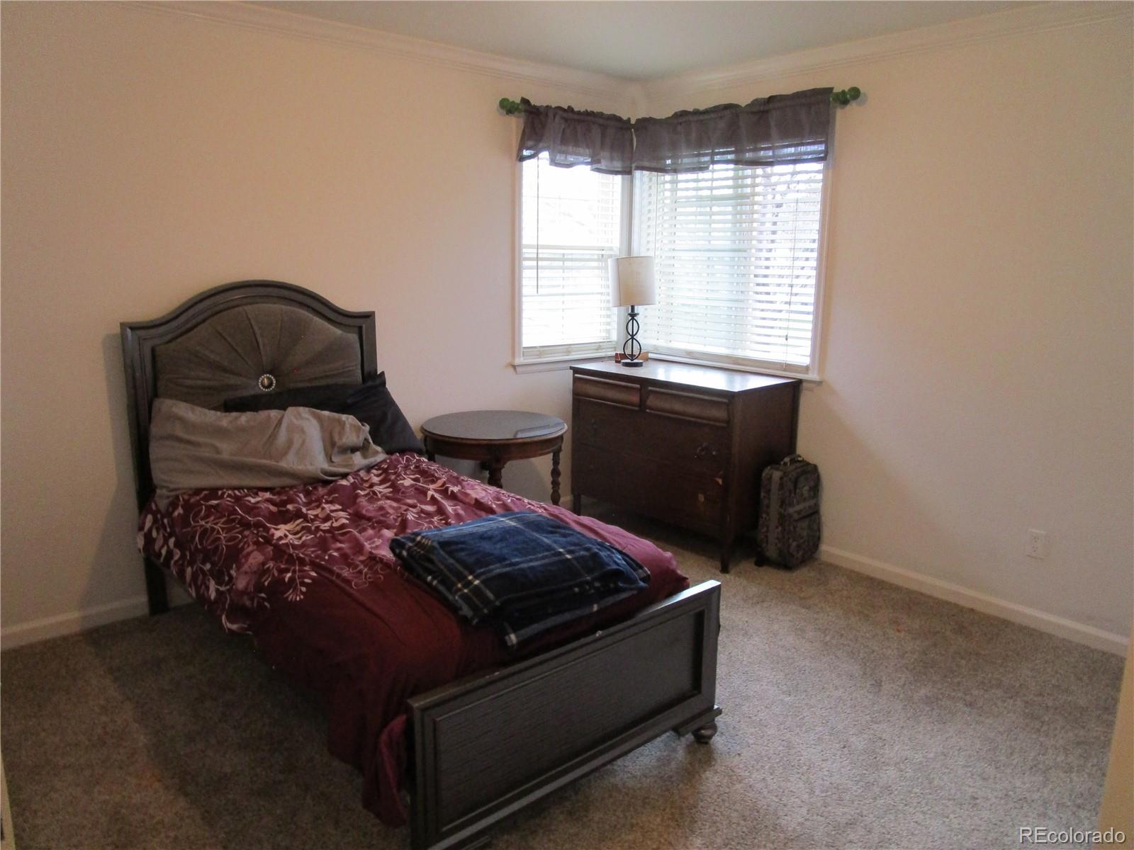 MLS Image #20 for 10522  stoneflower drive,parker, Colorado