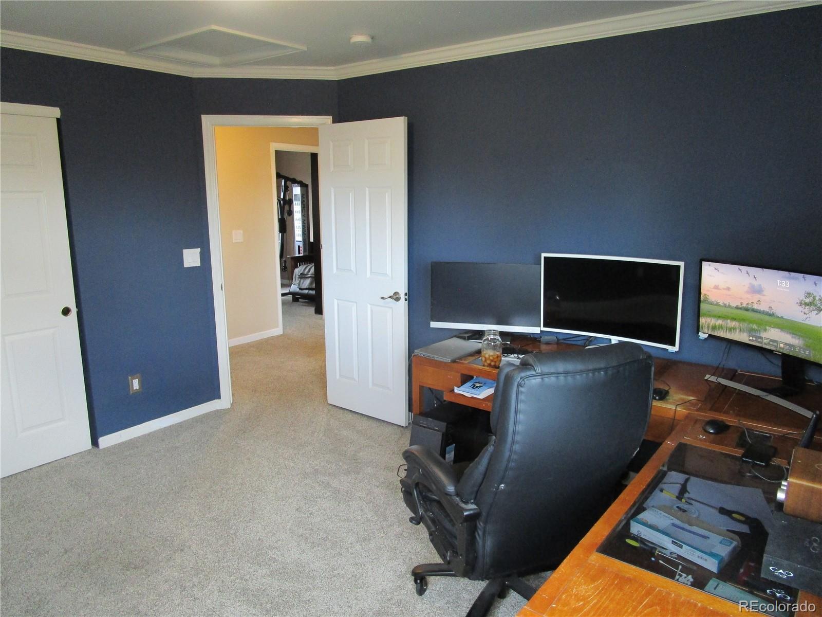 MLS Image #21 for 10522  stoneflower drive,parker, Colorado