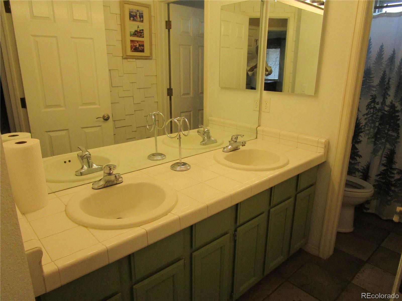 MLS Image #22 for 10522  stoneflower drive,parker, Colorado