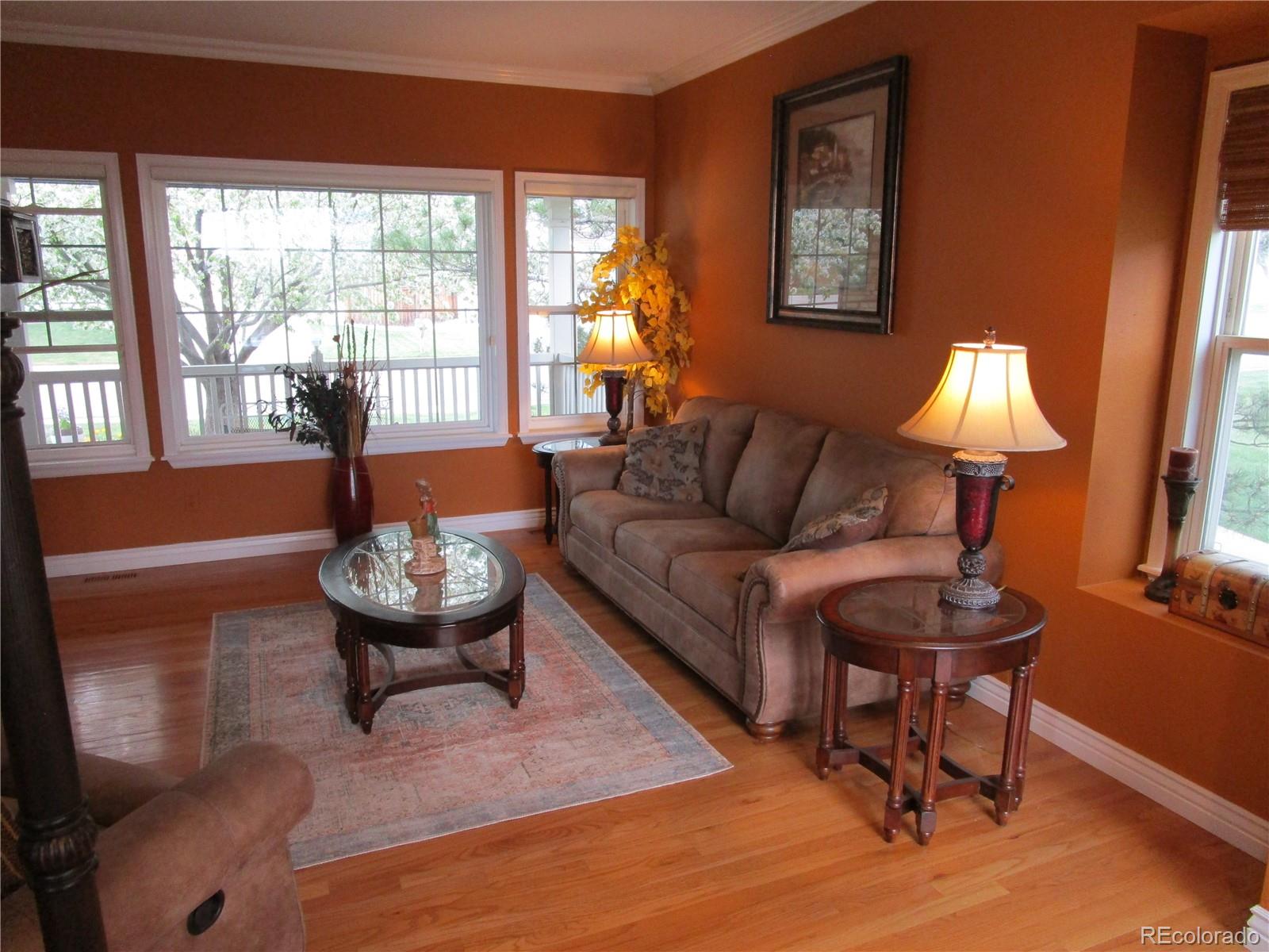 MLS Image #6 for 10522  stoneflower drive,parker, Colorado