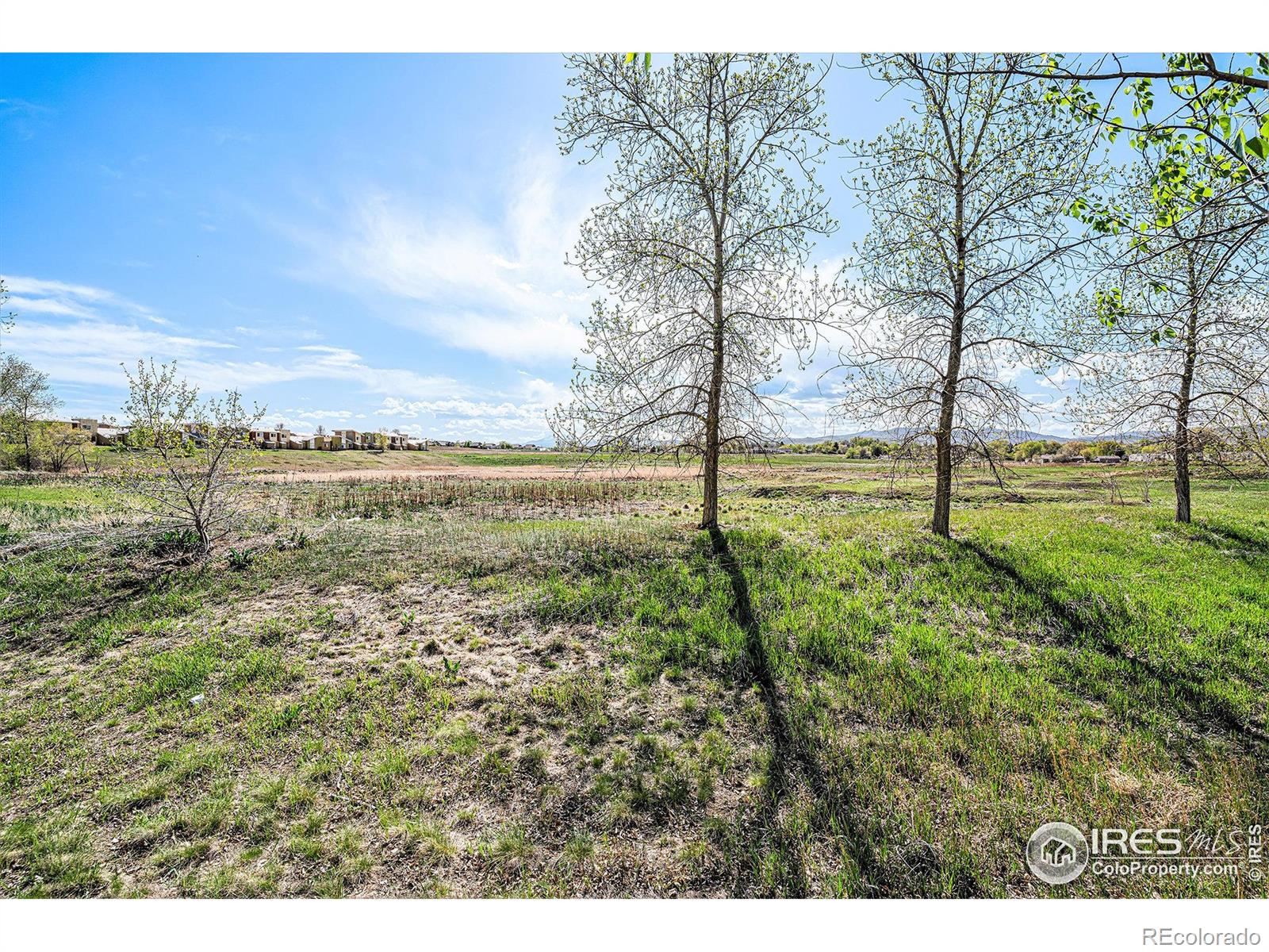 MLS Image #22 for 709  crown ridge lane,fort collins, Colorado