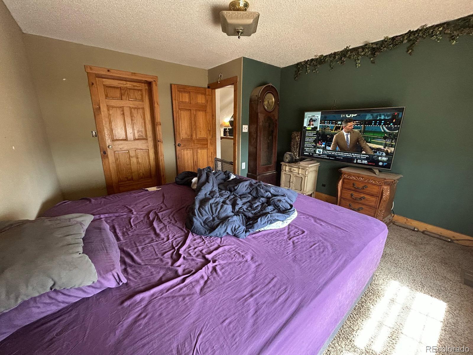 MLS Image #8 for 27  motherlode drive,leadville, Colorado