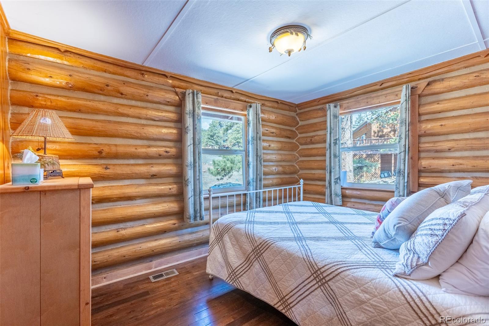 MLS Image #10 for 934  midland court,lake george, Colorado