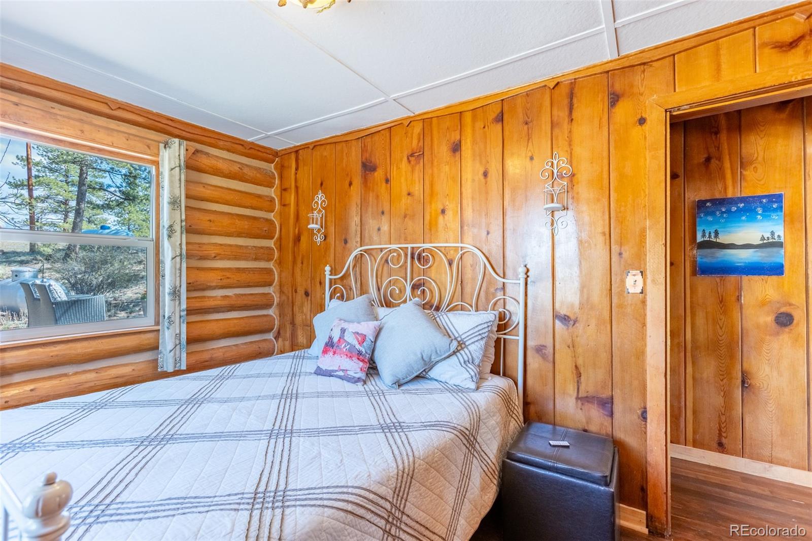 MLS Image #11 for 934  midland court,lake george, Colorado