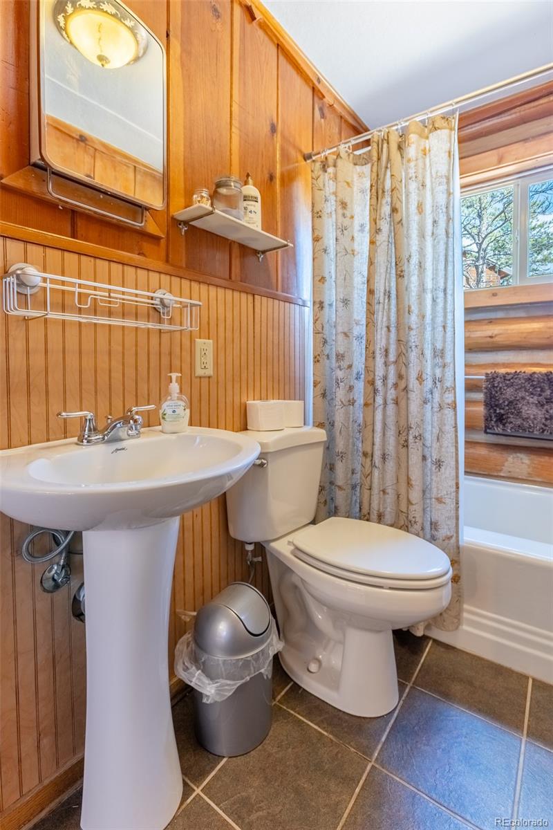 MLS Image #12 for 934  midland court,lake george, Colorado