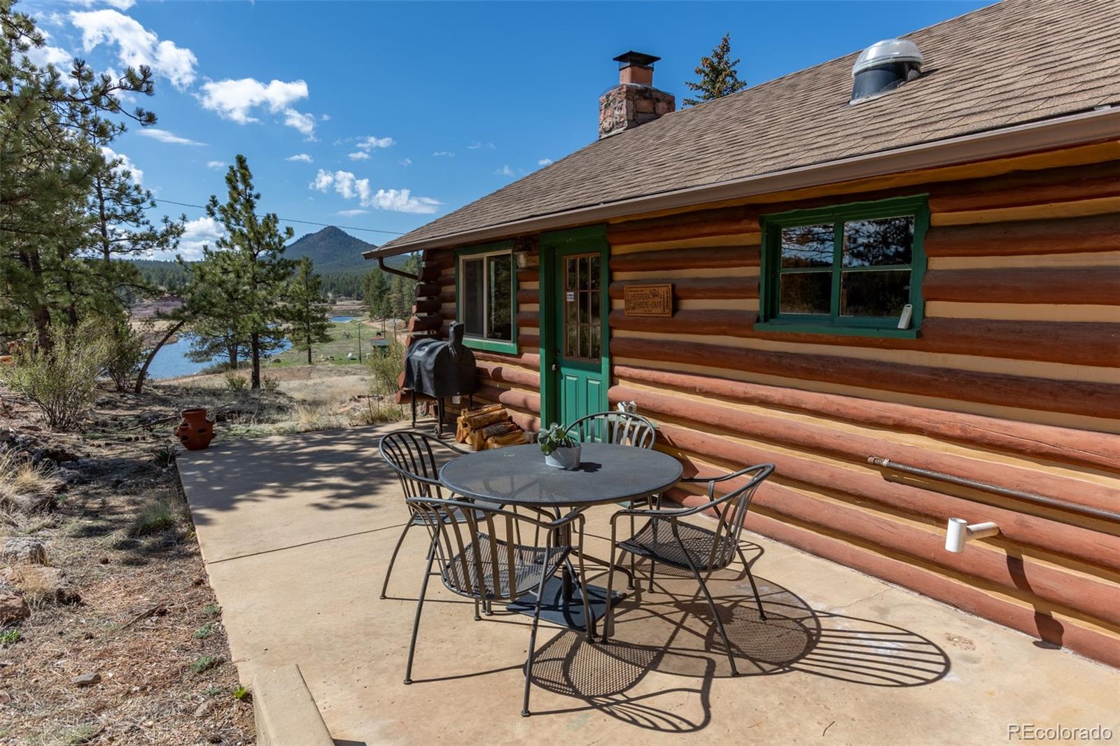 MLS Image #13 for 934  midland court,lake george, Colorado