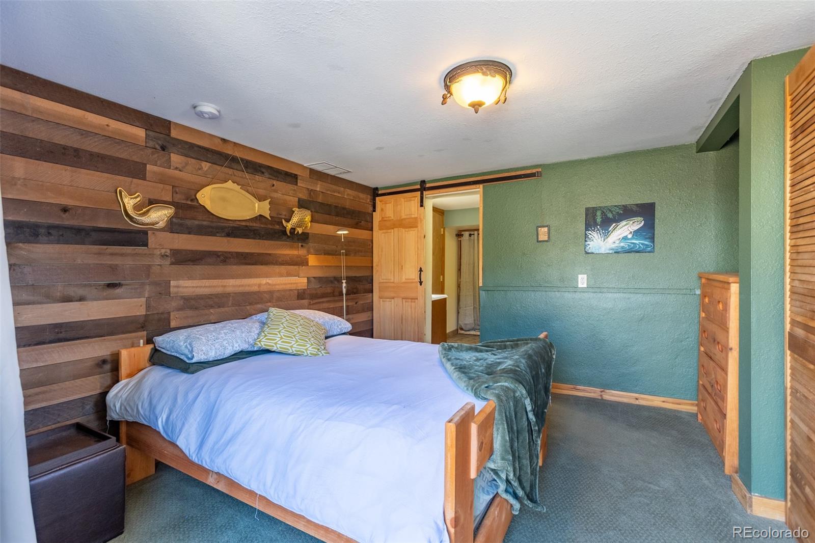 MLS Image #18 for 934  midland court,lake george, Colorado