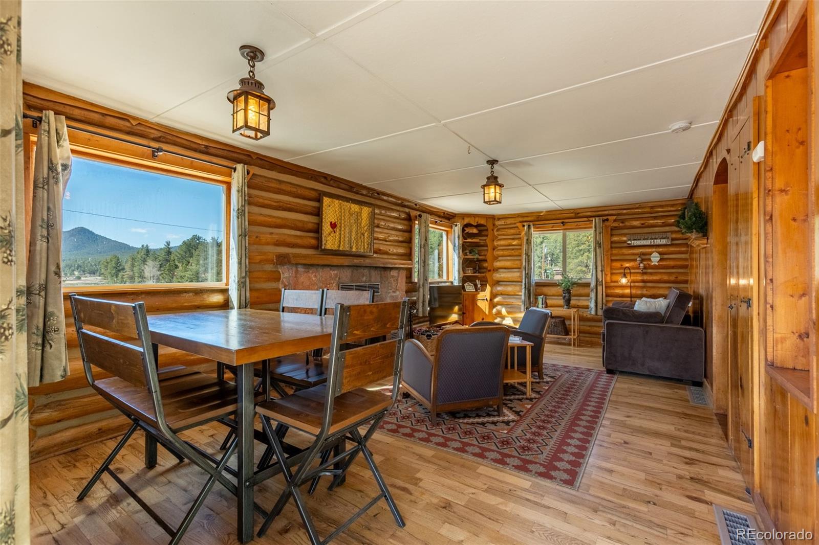 MLS Image #3 for 934  midland court,lake george, Colorado