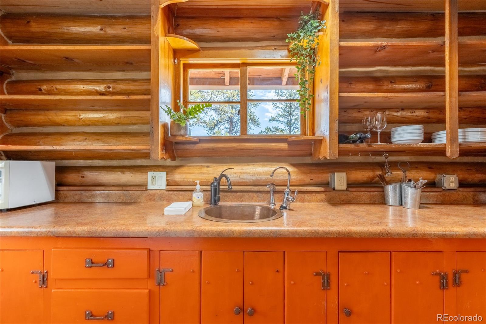 MLS Image #30 for 934  midland court,lake george, Colorado