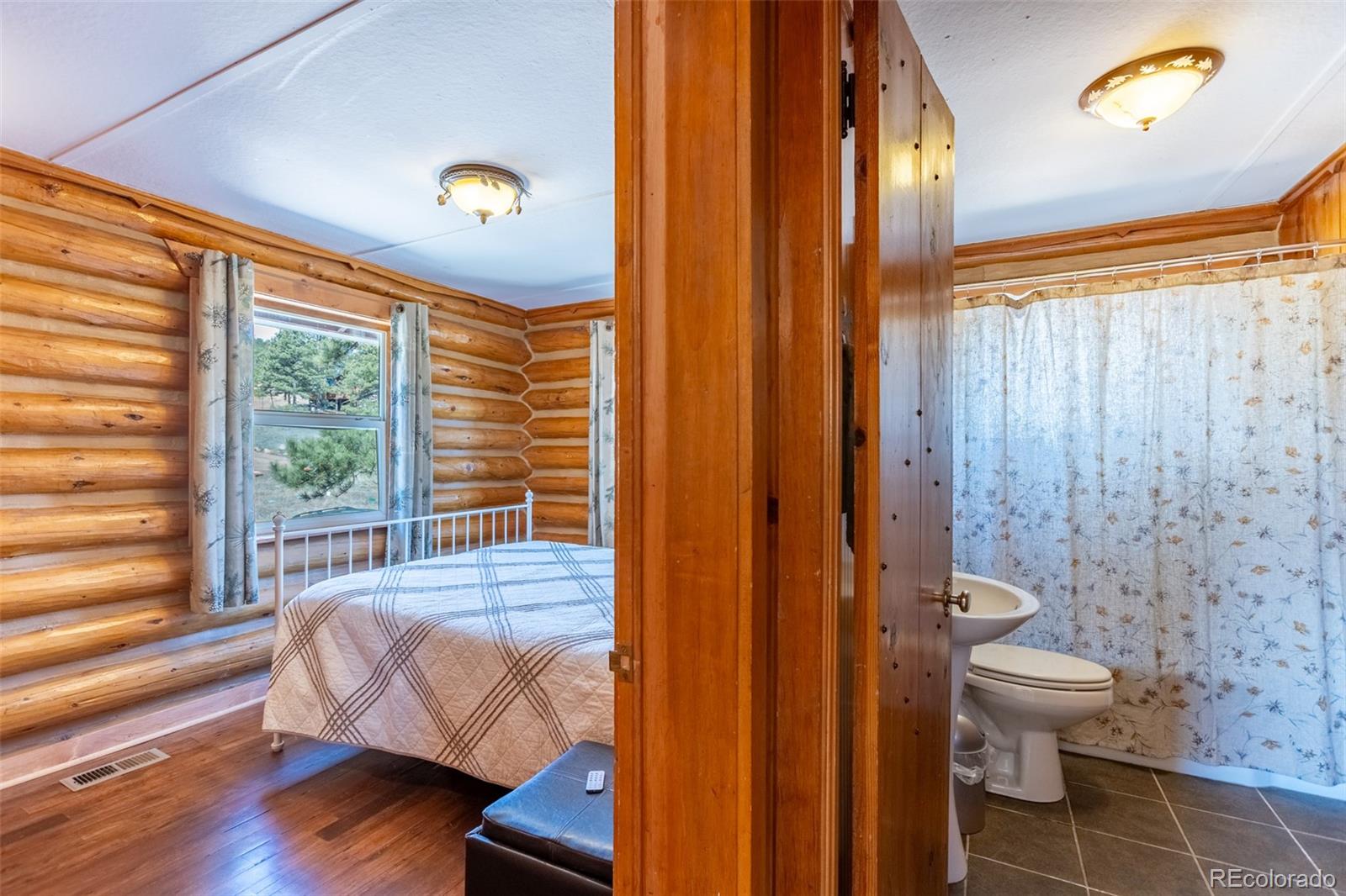 MLS Image #33 for 934  midland court,lake george, Colorado
