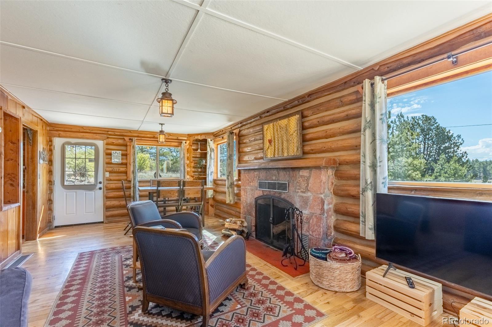 MLS Image #5 for 934  midland court,lake george, Colorado