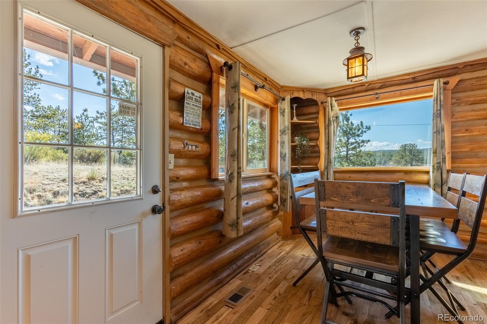 MLS Image #7 for 934  midland court,lake george, Colorado