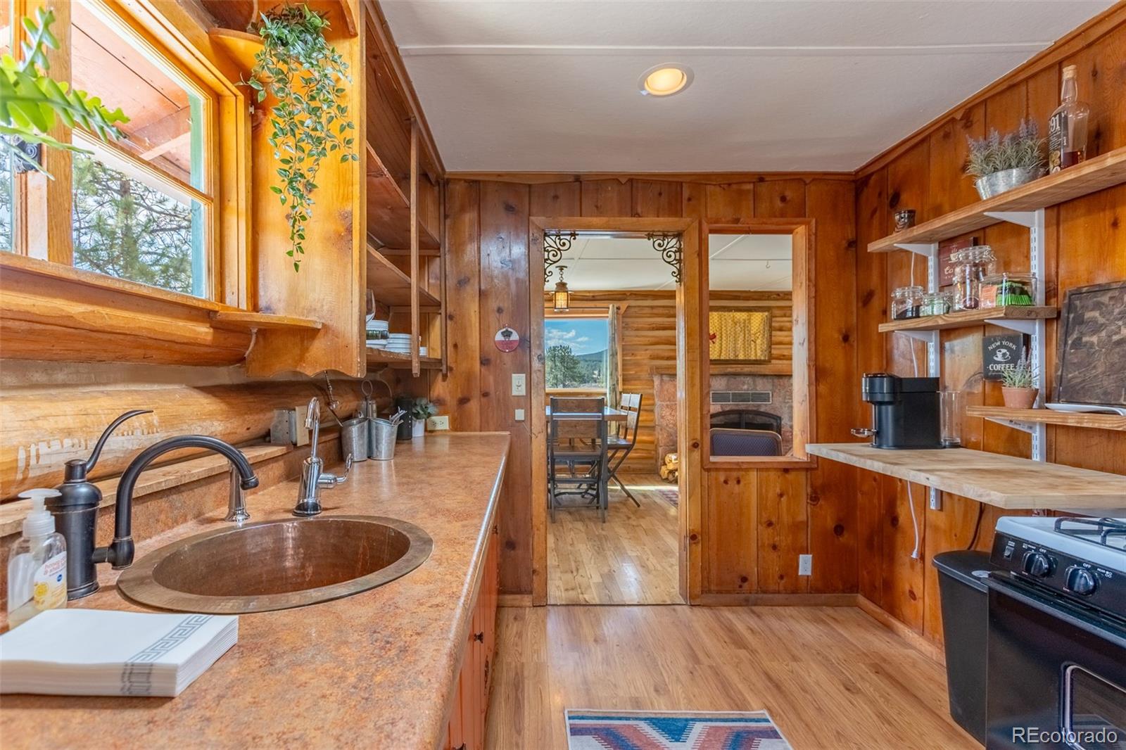 MLS Image #9 for 934  midland court,lake george, Colorado