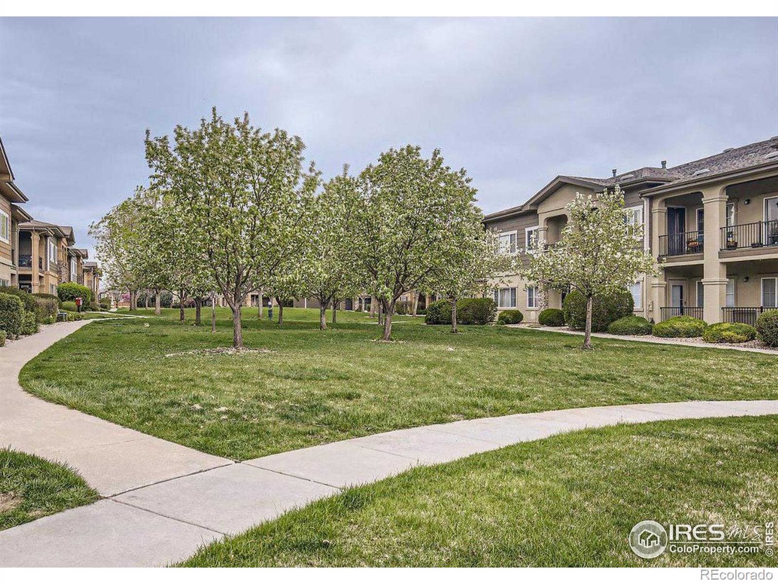 MLS Image #17 for 2239  calais drive,longmont, Colorado