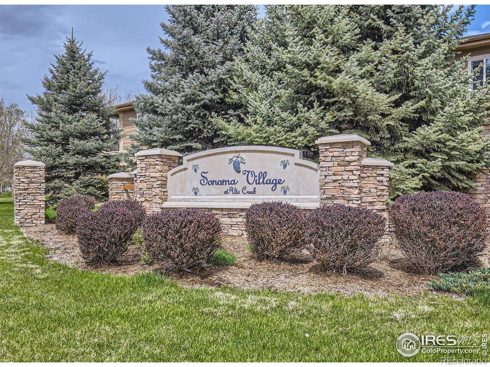MLS Image #18 for 2239  calais drive,longmont, Colorado