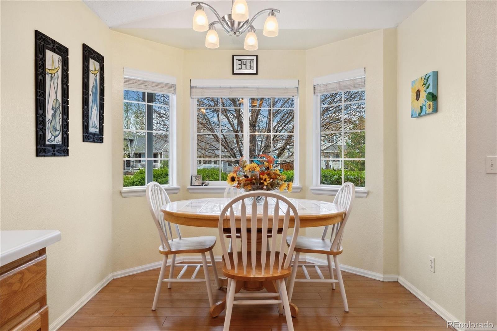MLS Image #10 for 22070  day star drive,parker, Colorado