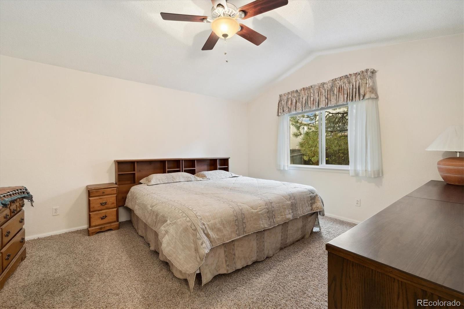 MLS Image #12 for 22070  day star drive,parker, Colorado