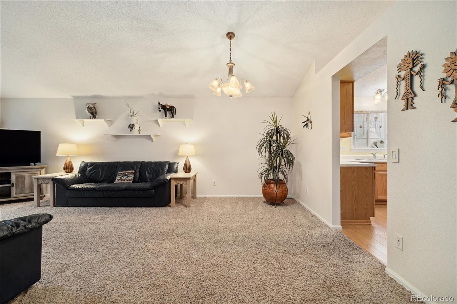MLS Image #30 for 22070  day star drive,parker, Colorado