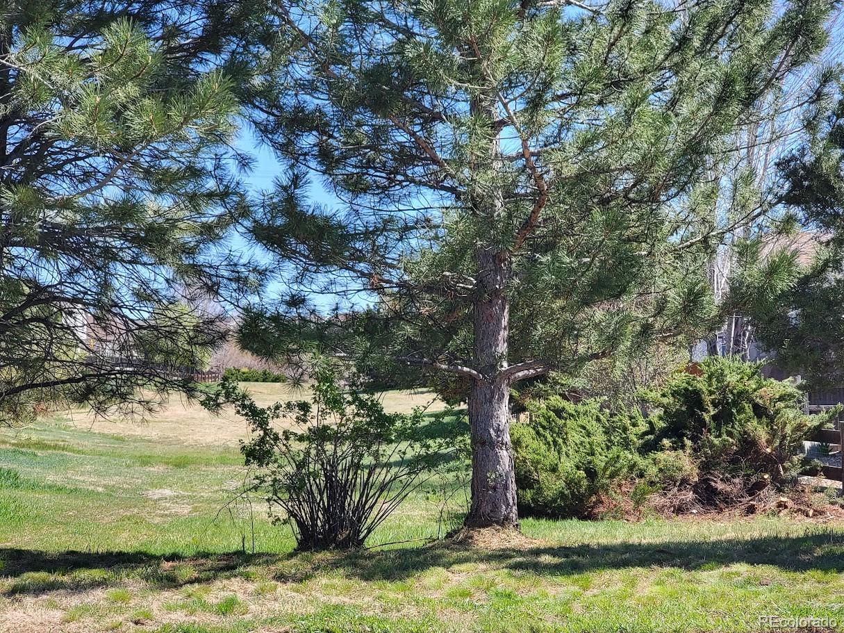 MLS Image #38 for 22070  day star drive,parker, Colorado