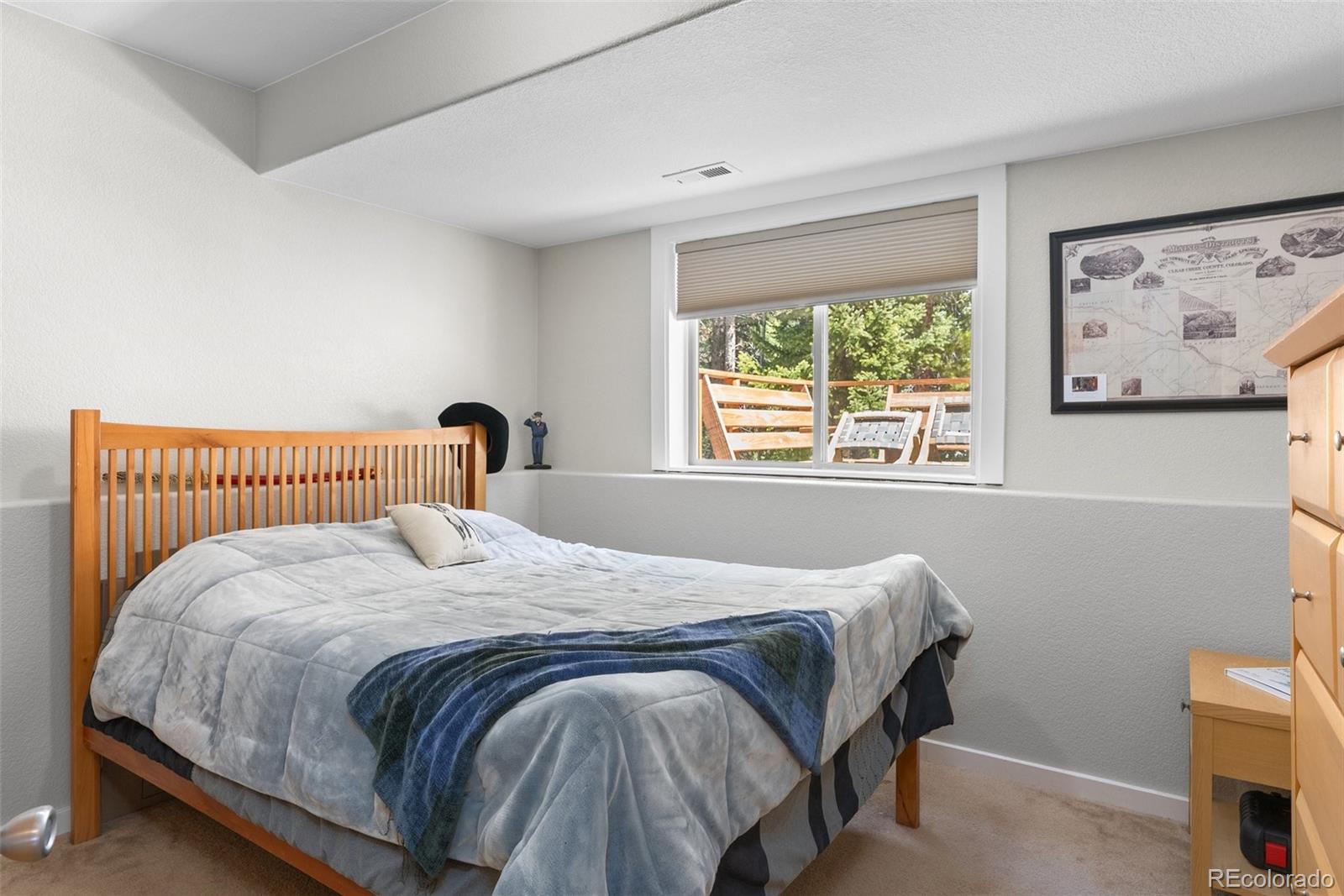 MLS Image #20 for 400  upper forest road,idaho springs, Colorado
