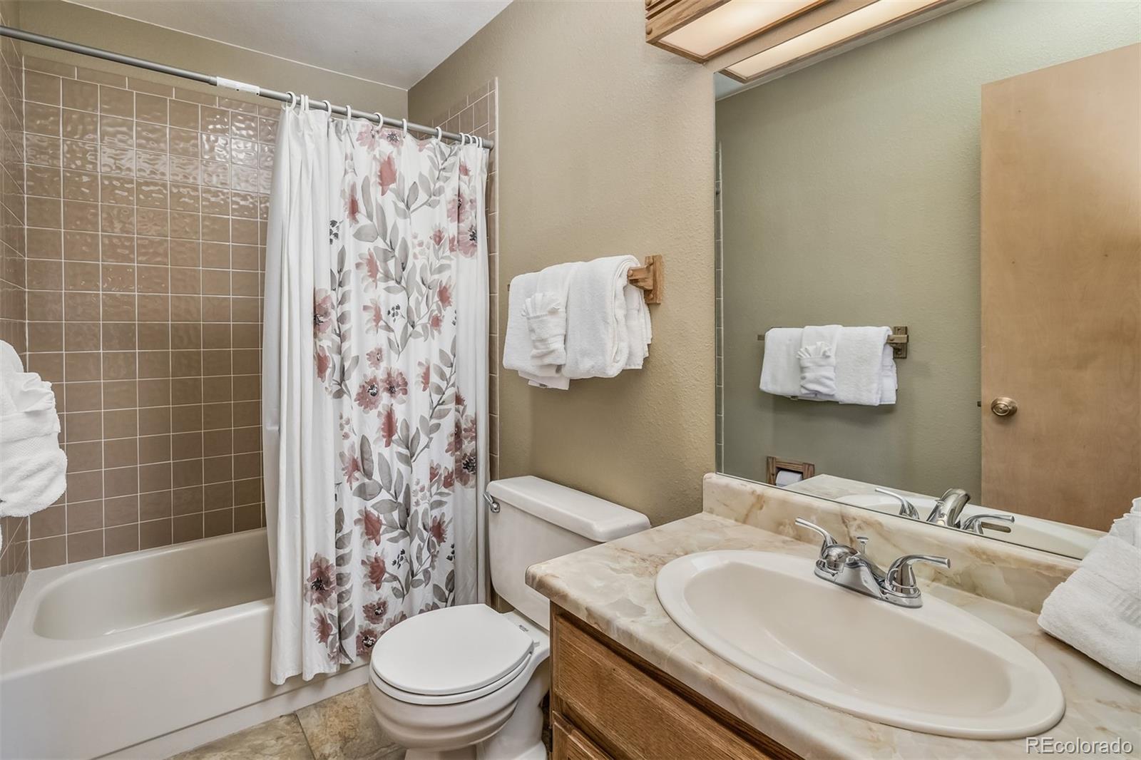 MLS Image #18 for 9430  ryan gulch road,silverthorne, Colorado