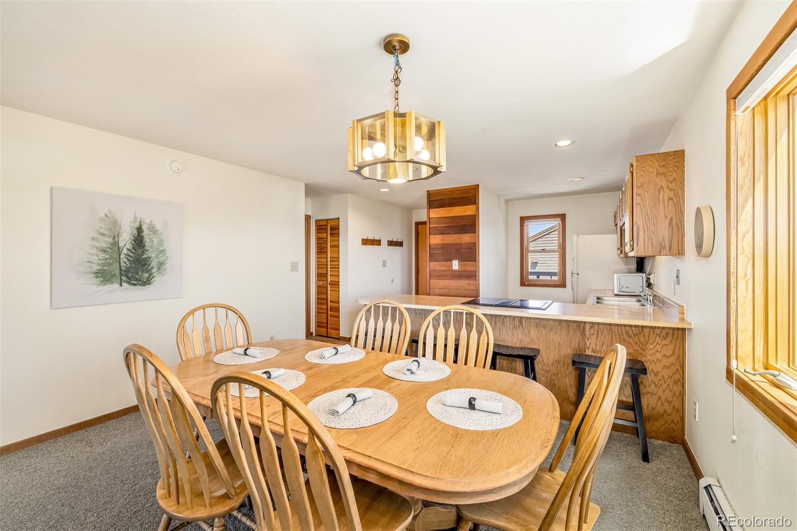 MLS Image #9 for 9430  ryan gulch road,silverthorne, Colorado
