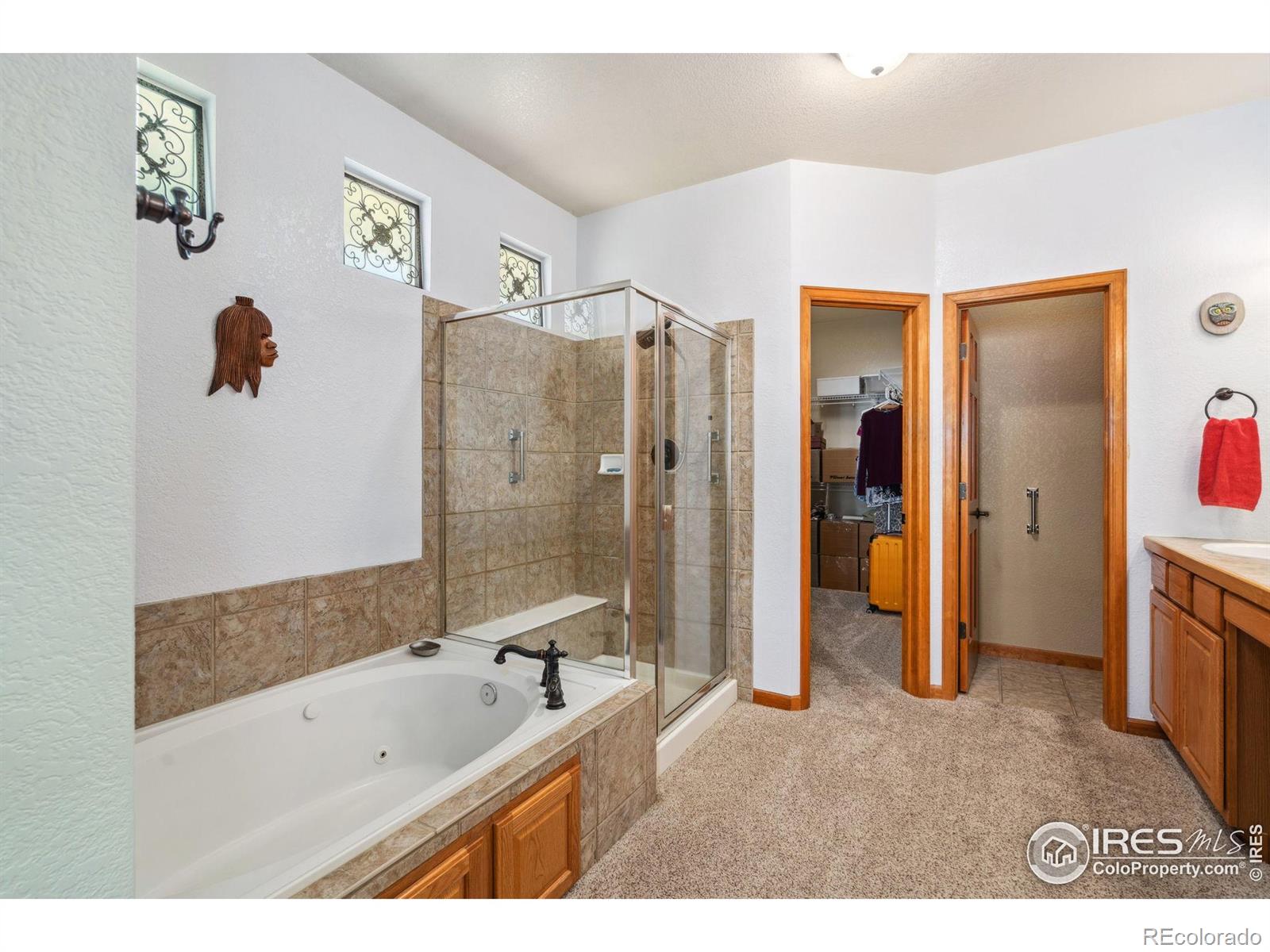 MLS Image #25 for 3808  observatory drive,fort collins, Colorado