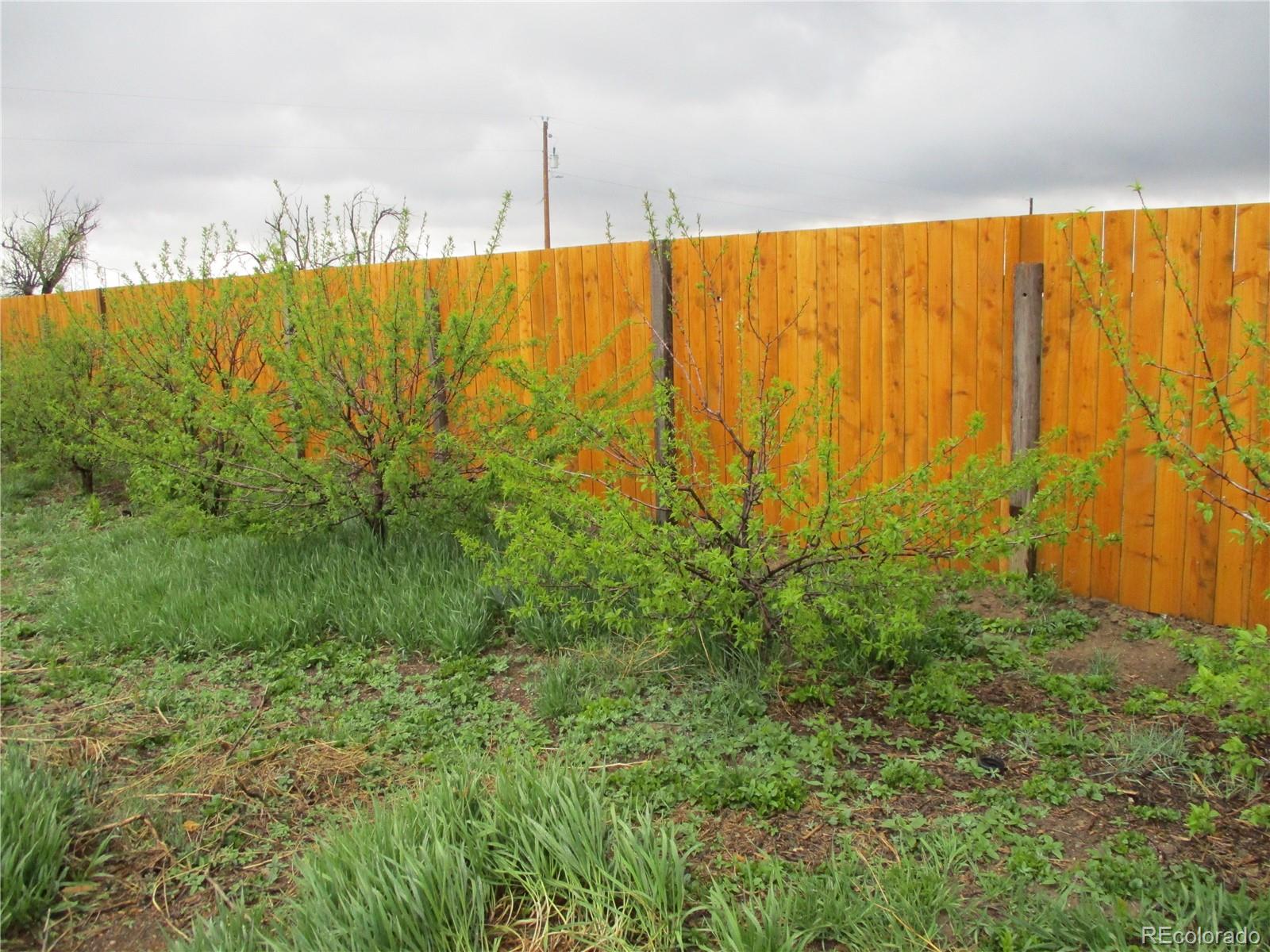 MLS Image #30 for 600  kunkle street,genoa, Colorado