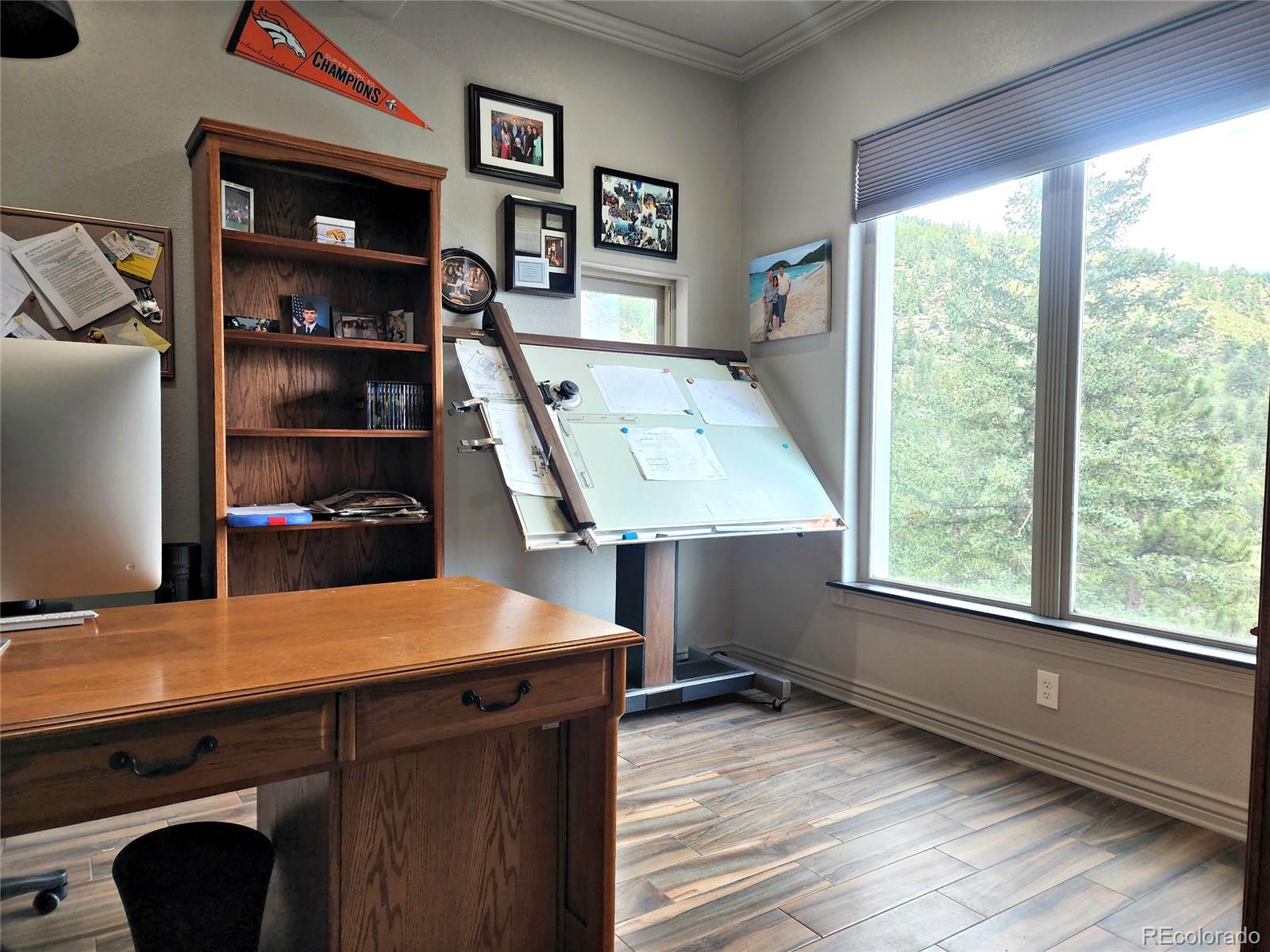 MLS Image #17 for 83  wilderness cornerstone road,evergreen, Colorado