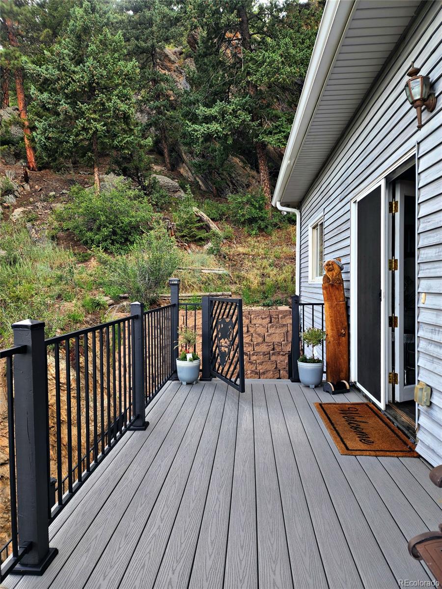 MLS Image #21 for 83  wilderness cornerstone road,evergreen, Colorado