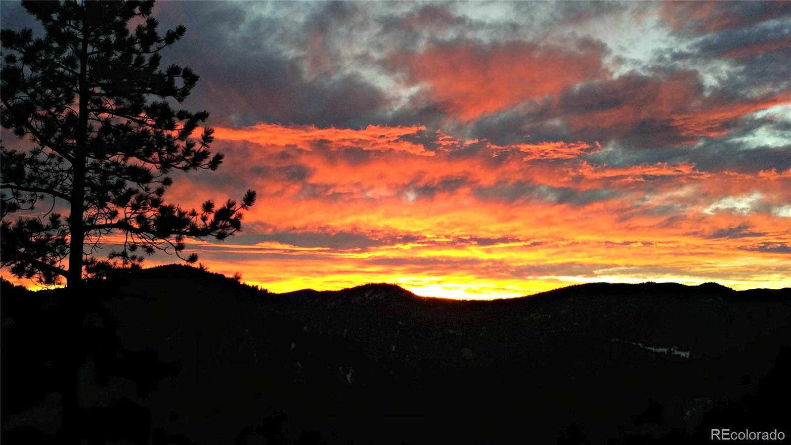 MLS Image #26 for 83  wilderness cornerstone road,evergreen, Colorado
