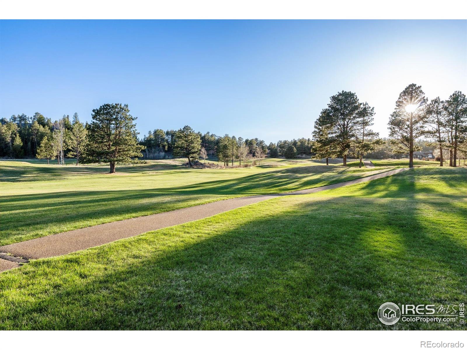 MLS Image #21 for 312  fox acres drive,red feather lakes, Colorado